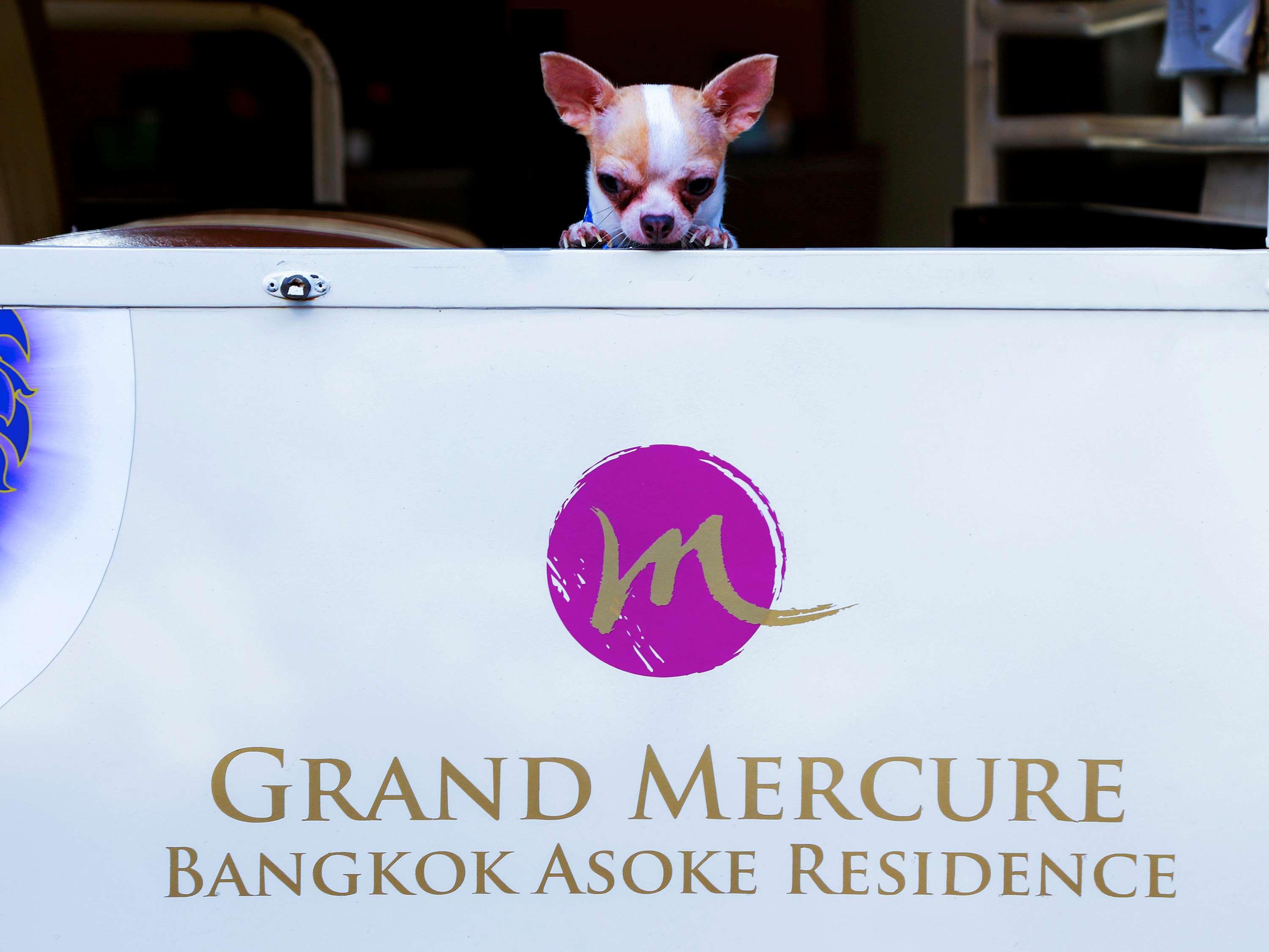 Grand Mercure Bangkok Asoke Residence Exteriér fotografie